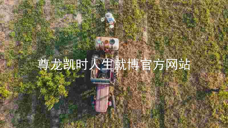 尊龙凯时人生就博官方网站